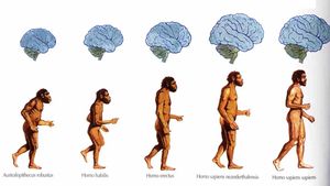 Descoperire controversată. Cum arătau și ce mâncau oamenii, de fapt, în anul 400 î.e.n.