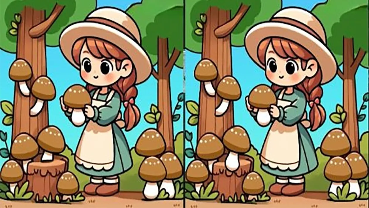 Test de perspicacitate | 3 diferențe în maximum 33 de secunde. Le puteți găsi?