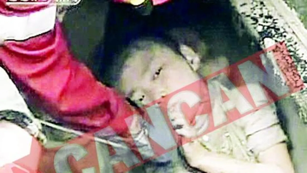 Cu perfuzia sub daramaturi