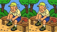 Test de inteligență | 3 diferențe în 27 de secunde: Le puteți identifica pe toate?