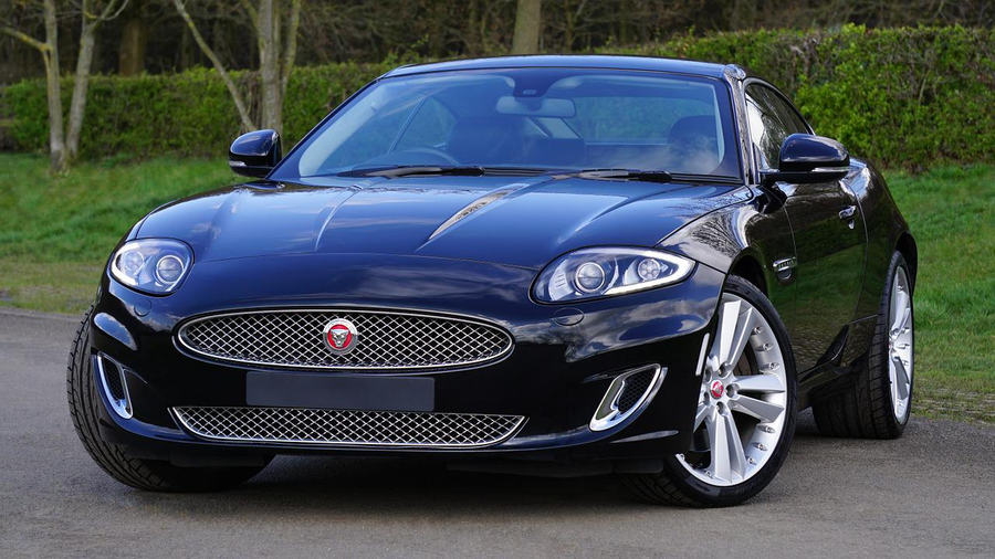Jaguar. Sursă foto: Pixabay