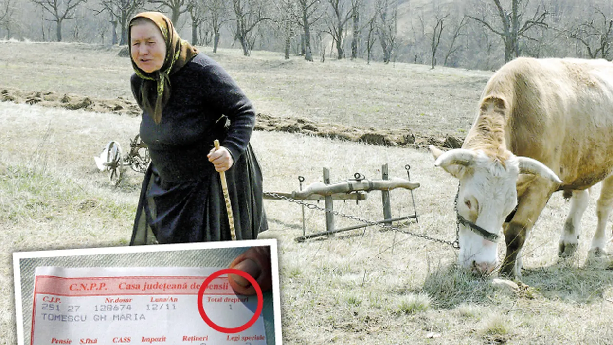 Satul cu cele mai mici pensii! Saracie lucie la Malarisca, judetul Mehedinti