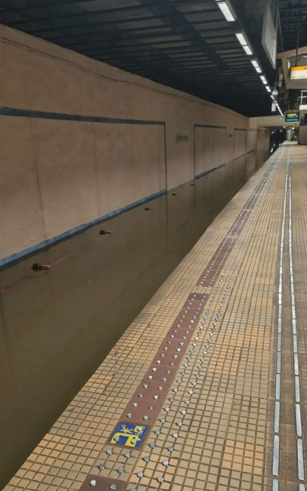 Urmările furtunii din București. Străzi blocate, copaci rupți și stații de metrou închise