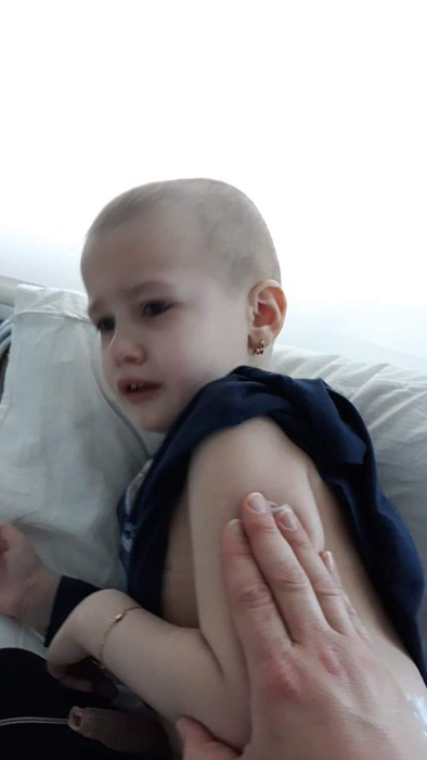 Misha, strigăt de ajutor în plină pandemie de coronavirus