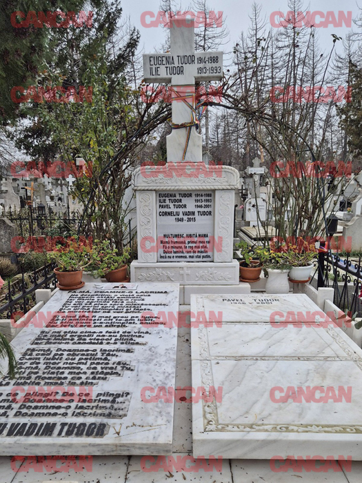 Cum arată mormântul lui Corneliu Vadim Tudor în decembrie 2025. Ce scrie pe monumentul funerar