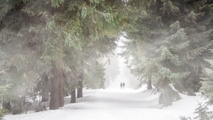 Se strică din nou vremea! Vortexul polar aduce temperaturi de iarnă siberiană în aceste zone