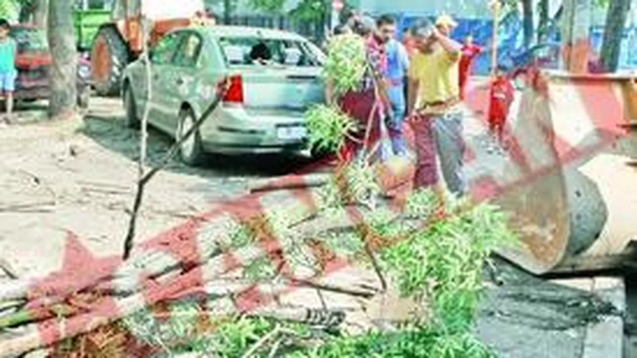 Furtuna a facut ravagii