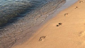 Clima se schimbă în Europa. România devine noua Grecie! Ce temperaturi vor fi pe litoral, conform meteorologilor