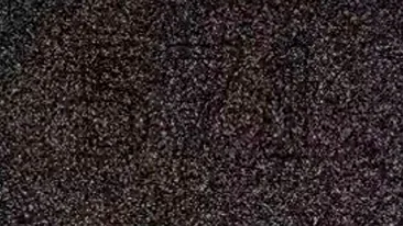 Test de inteligență | Doar 1% dintre oameni poate spune ce număr se ascunde în această iluzie optică