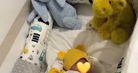 Galerie foto - poza 2