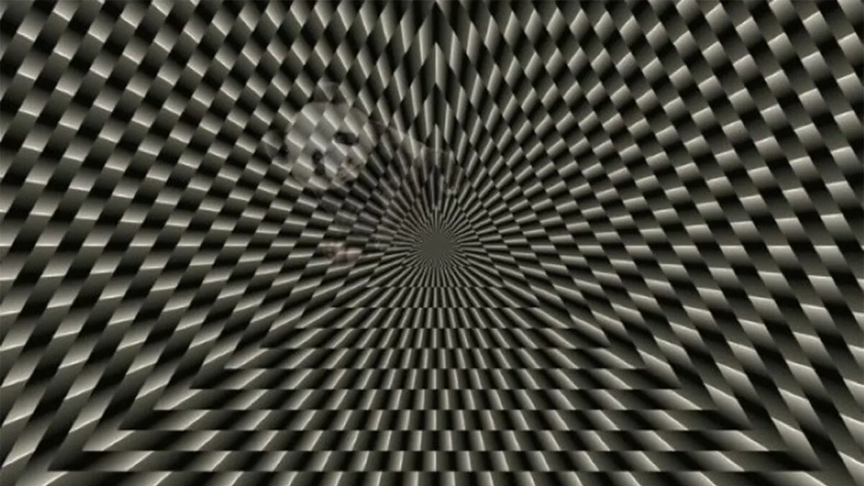 Iluzie optică | Ce animal se ascunde în această imagine? Geniile răspund corect în 19 secunde