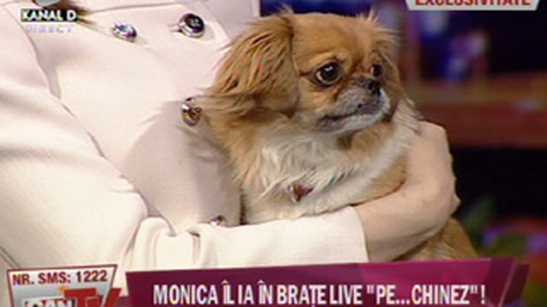 VIDEO Cea mai tare gluma de la CANCAN TV! Artene si Mantea i l-au adus PE CHINEZ Monicai Gabor in direct! Vezi cum l-a luat in brate si cum s-a bucurat!