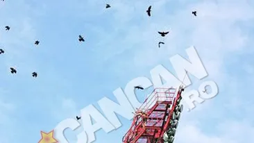 Scandal pe Stadionul Nicolae Dobrin din Pitesti S-a urcat pe nocturna sa puna pe fuga ciorile