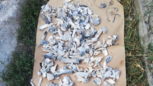 Oasele găsite în curtea lui Gheorghe Dincă