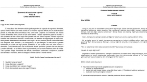 Bacalaureat 2019. Ce subiecte au picat la limba și literatura maternă oral