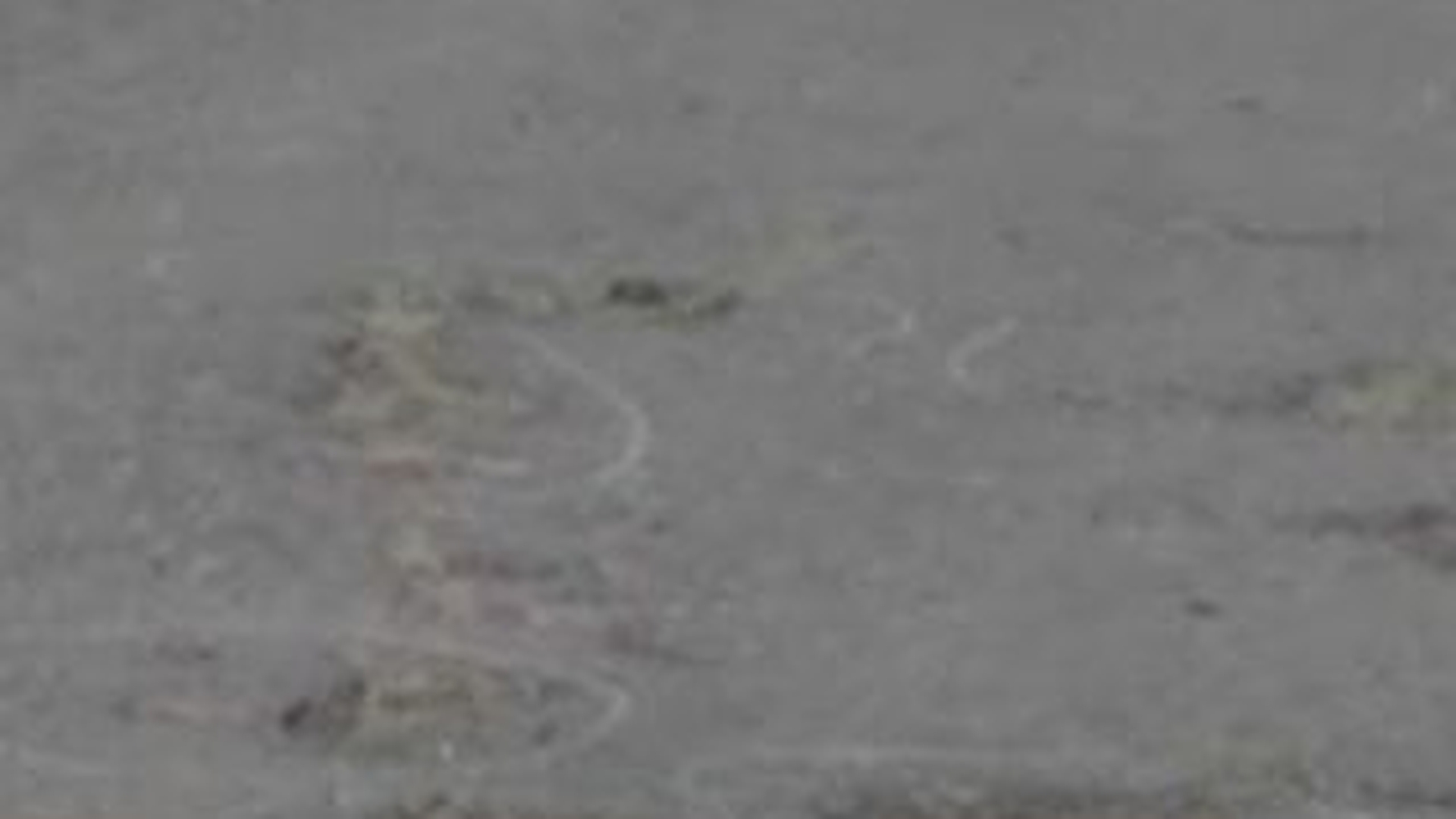 VIDEO A cazut de pe bicicleta din cauza unei gropi in asfalt si a murit