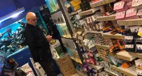 Galerie foto - poza 4