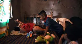 Galerie foto - poza 2