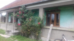 Casă oferită gratis în Satu Mare, plus 5 hectare de teren. Ce căutau proprietarii
