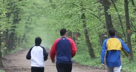 Galerie foto - poza 1