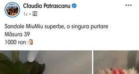 Galerie foto - poza 2