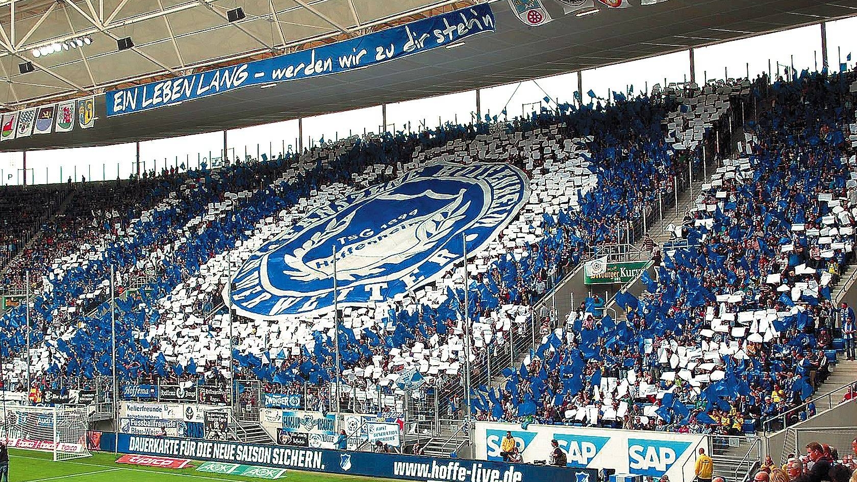 Hoffenheim – Paderborn: Gazdele, în formă MAXIMĂ!