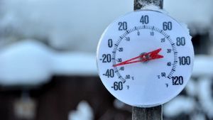 PROGNOZA METEO. Ninsori şi viscol în mare parte din ţară. De când se încălzeşte vremea