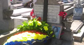 Galerie foto - poza 2