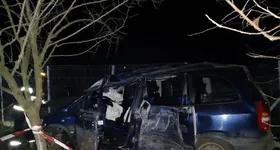 Galerie foto - poza 1