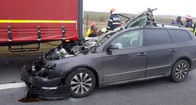 Galerie foto - poza 3