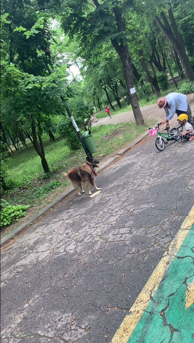 Chef Foa își ajută băiețelul să se ridice, după ce a căzut cu bicicleta (Foto: CANCAN.RO)