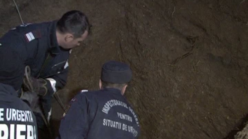 Un poliţist călare a salvat de la moarte un hoţ prins sub un mal!