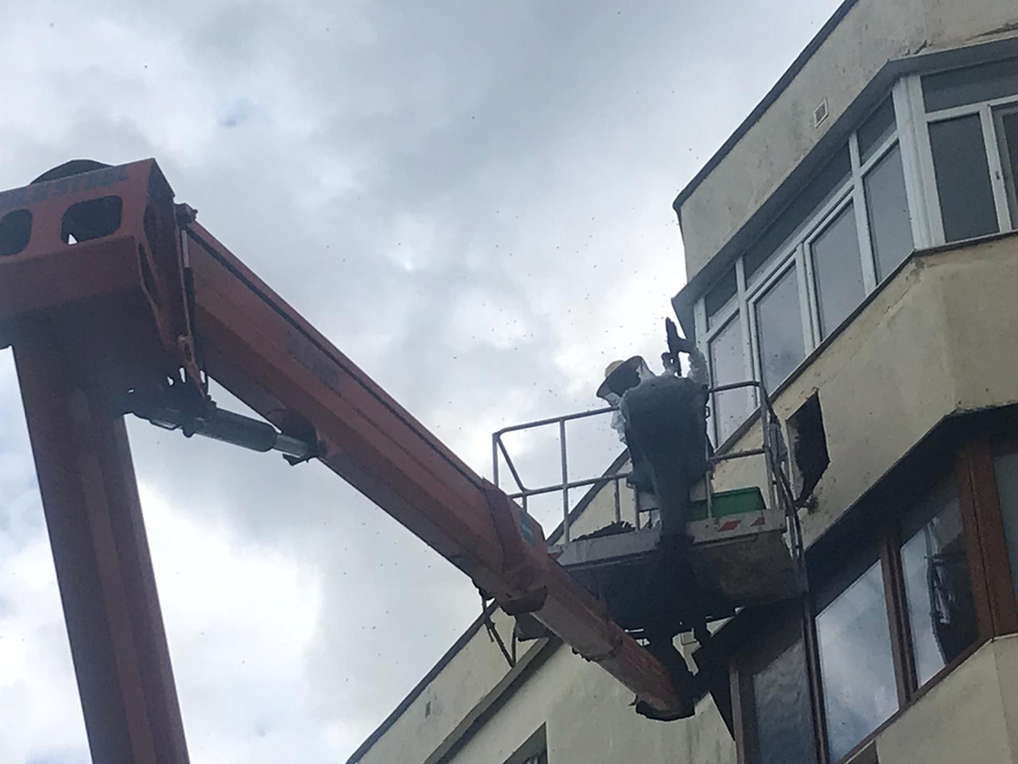 Pompierii din Bacău, solicitați la o intervenție “dulce”! Localnicii s-au oprit pe stradă ca să vadă operațiunea