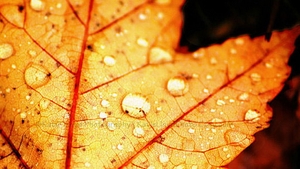 METEO 10 noiembrie. Vezi cum va fi vremea azi si daca mercurul coboara din termometre!
