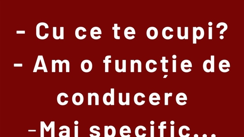BANCUL ZILEI | Cu ce ce ocupi?
