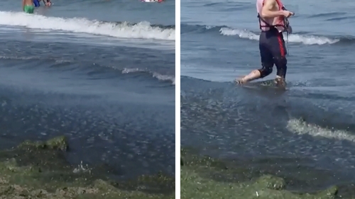 Dezgustător. Ce a apărut în Marea Neagră, după furtunile din weekend