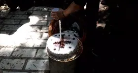 Galerie foto - poza 2