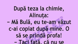 BANC | "Bulă, te-am văzut c-ai copiat după mine. O să se prindă profa!”