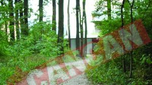 Au taiat copaci in nestire ca sa-si faca scurtatura spre casa