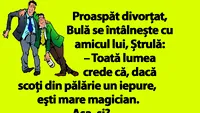 BANC | Proaspăt divorţat, Bulă se întâlnește cu amicul lui, Ștrulă