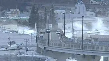 Peste 6.000 de morti si disparuti dupa tragedia din Japonia!