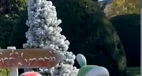 Galerie foto - poza 1