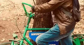 Galerie foto - poza 4