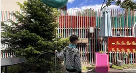 Galerie foto - poza 1