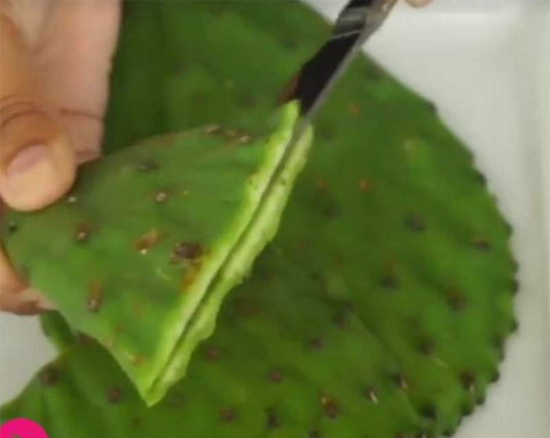 Fructul de cactus te ajută să scapi de acnee peste noapte. Trebuie doar să-l tai şi…