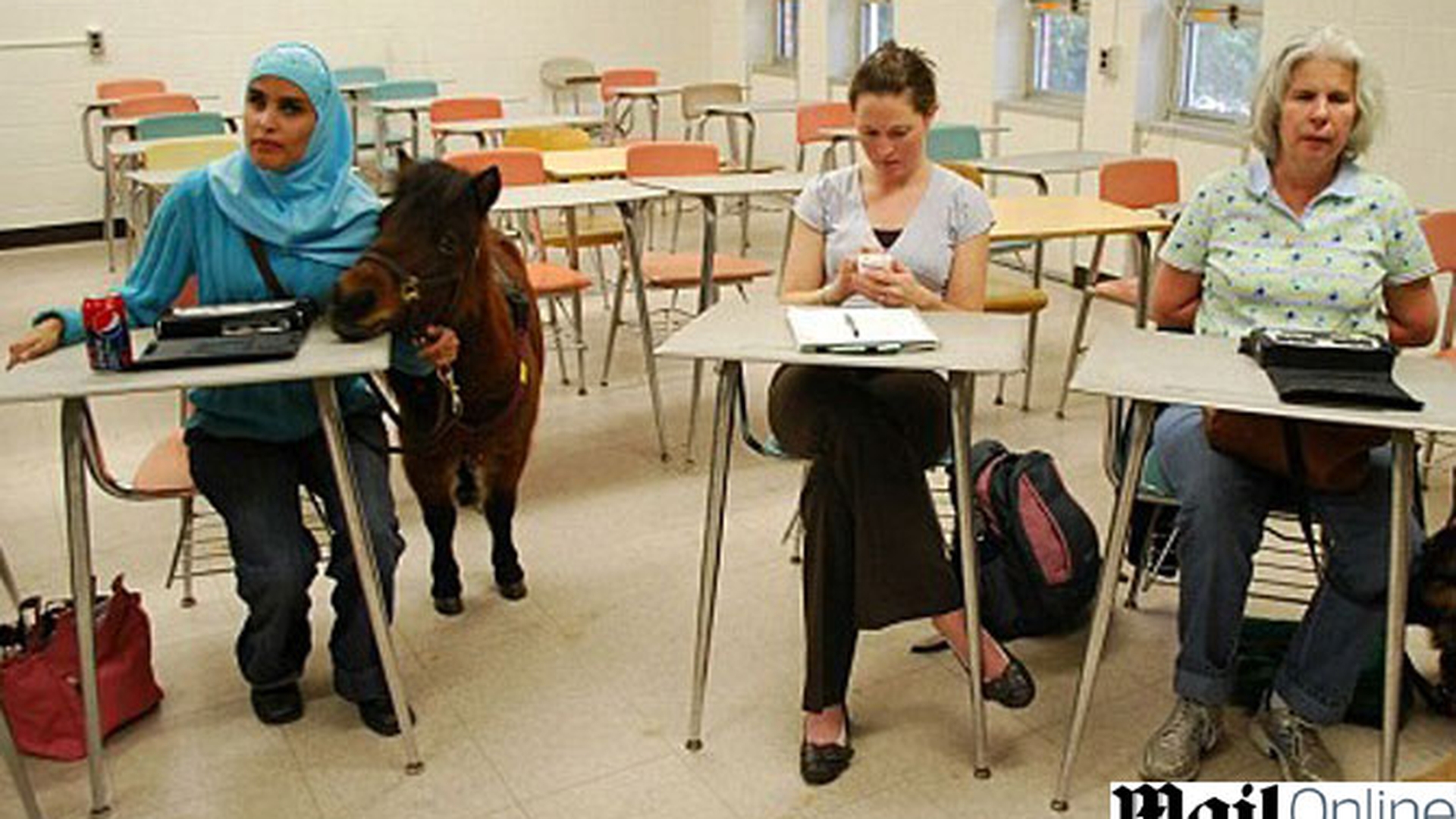 O studenta oarba si-a luat un ponei in loc de caine