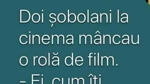 BANCUL ZILEI | Doi șobolani, la cinema