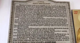 Galerie foto - poza 4