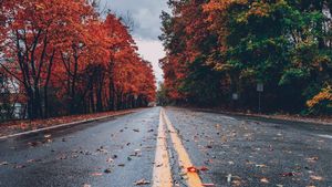 Vremea în următoarele patru săptămâni. Când vine toamna în România