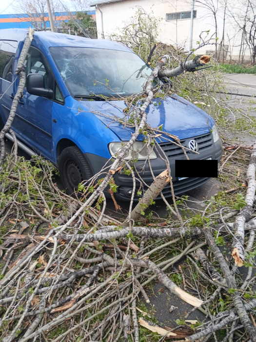 Furtuna a făcut ravagii în Capitală!